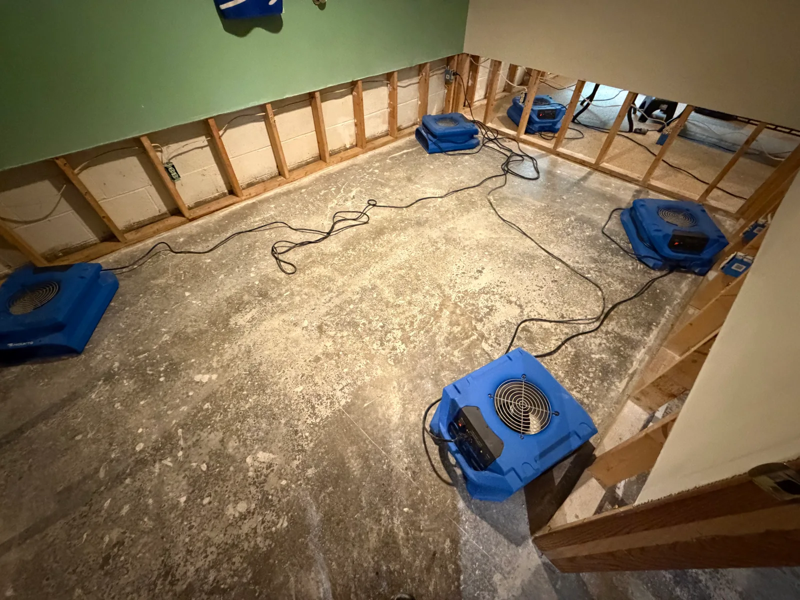 A basement room with bare concrete floor and lower drywall removed exposing wall studs, with several blue air movers placed around the room and extension cords running across the floor.