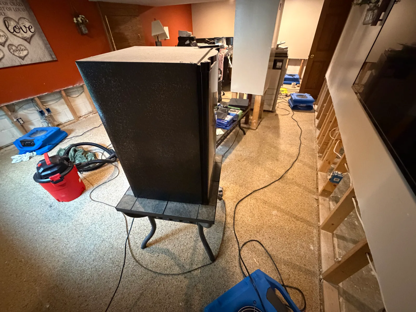 A basement with air movers placed on the floor, exposed lower wall framing with removed drywall, a wet/dry vacuum, and electrical cords running across damp carpet.