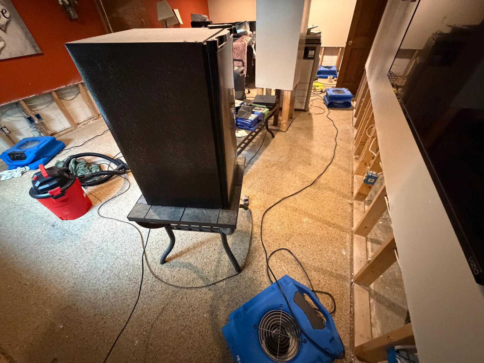 A basement interior with multiple blue air movers and a wet/dry vacuum positioned on carpet, with exposed wall framing and various belongings being dried.
