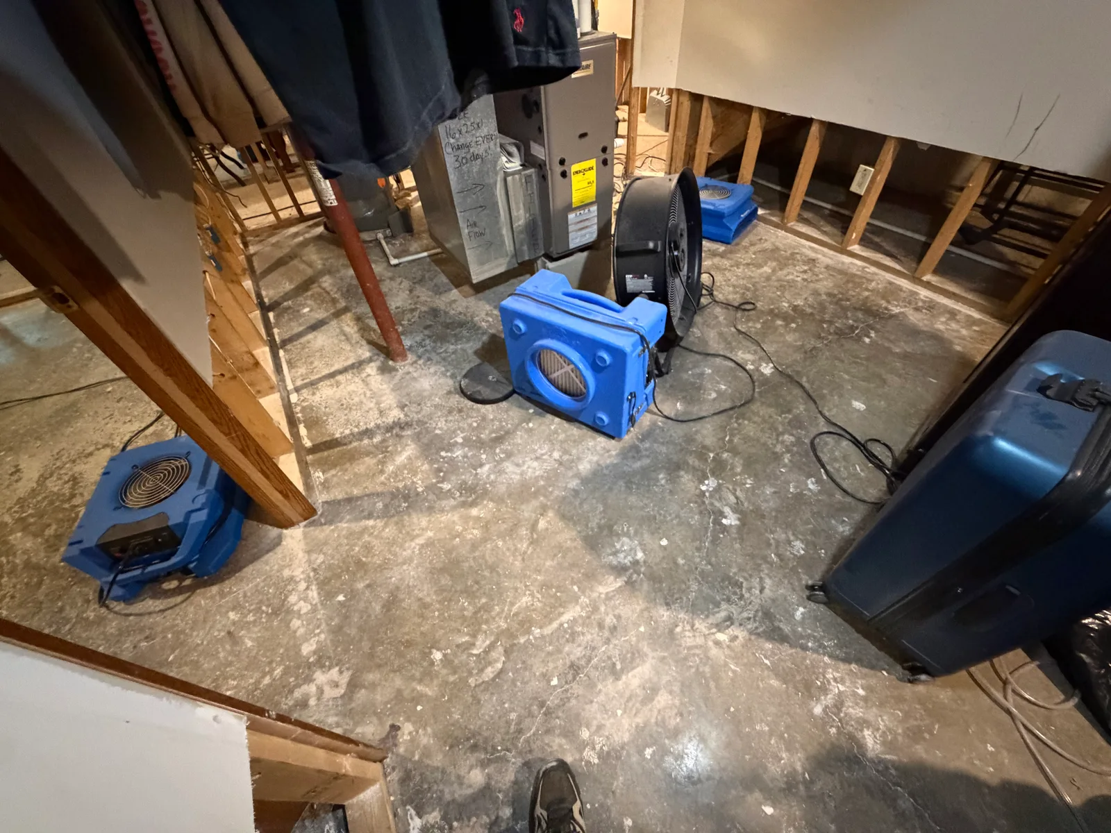 A basement with exposed wall framing where drywall has been removed, multiple blue air movers and a dehumidifier placed on a bare concrete floor near a furnace.